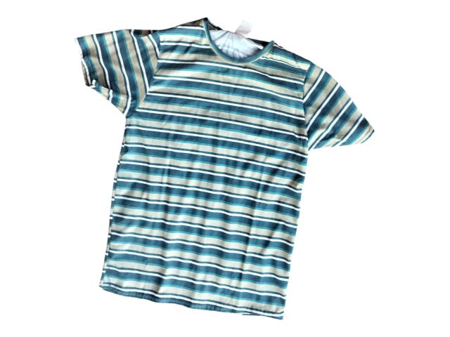 Men’s Striped Cotton T-Shirt | Half Sleeve Round Neck Casual Wear (Blue/White)